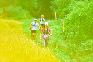 BIB: 
                            <button type="button" onclick="openModal(13456694)" class="btn btn-primary btn-sm float-right btn-popup" data-toggle="modal" data-target=".modal-high-quality">
                        <i class="fas fa-shopping-cart"></i> Add to Cart
                    </button>
                                            <button type="button" onclick="isThisMe(13456694, true)" class="btn btn-success btn-sm float-right btn-popup btn-isme hidden" data-toggle="tooltip" data-placement="bottom" title="นี่คือรูปของคุณใช่ไหม คลิกที่นี่เพื่อเอาเข้าอัลบั้ม">
                        <i class="fas fa-plus"></i> Add to album
                    </button>
                    <button type="button" onclick="isThisMe(13456694, false)" class="btn btn-warning btn-sm float-right btn-popup btn-isnotme hidden">
                        <i class="fas fa-ban"></i> Remove from album
                    </button>